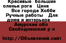 Красивые  большие оленьи рога › Цена ­ 3 000 - Все города Хобби. Ручные работы » Для дома и интерьера   . Амурская обл.,Свободненский р-н